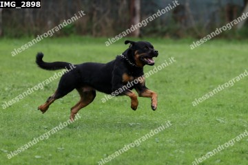 IMG_2898.jpg