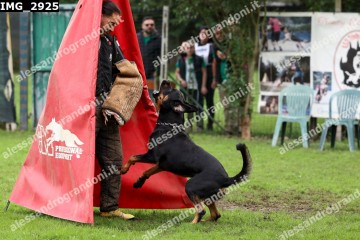 IMG_2925.jpg