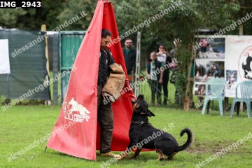 IMG_2943.jpg