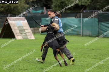 IMG_3120.jpg