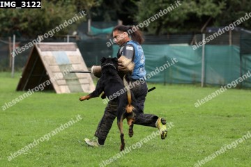 IMG_3122.jpg