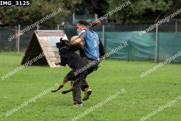 IMG_3125.jpg
