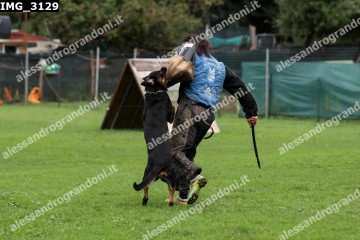 IMG_3129.jpg