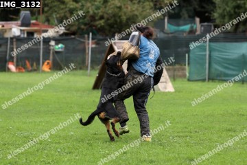 IMG_3132.jpg
