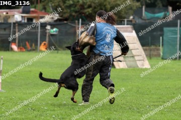 IMG_3136.jpg