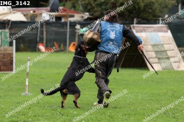 IMG_3142.jpg