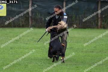 IMG_3171.jpg