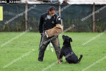 IMG_3210.jpg