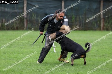 IMG_3222.jpg