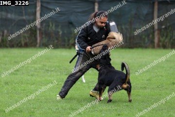 IMG_3226.jpg
