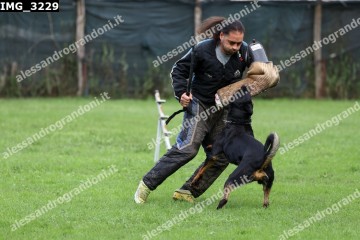 IMG_3229.jpg