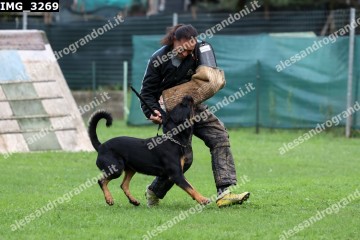 IMG_3269.jpg