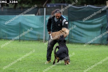 IMG_3284.jpg