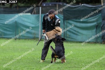 IMG_3287.jpg