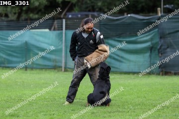 IMG_3301.jpg