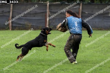 IMG_3433.jpg