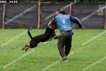 IMG_3435.jpg
