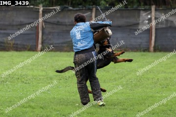 IMG_3439.jpg