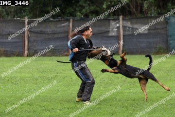 IMG_3446.jpg