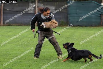 IMG_3461.jpg