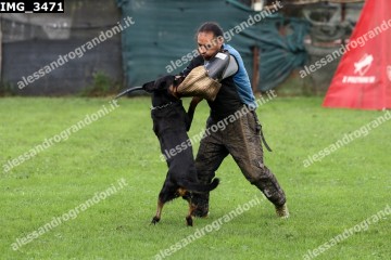 IMG_3471.jpg