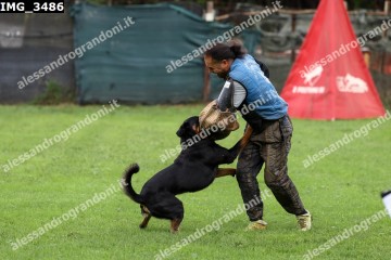 IMG_3486.jpg