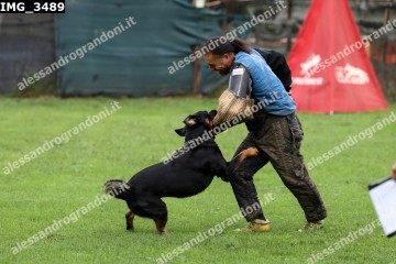 IMG_3489.jpg