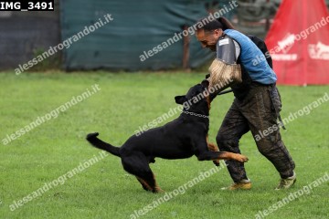 IMG_3491.jpg
