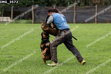 IMG_3572.jpg