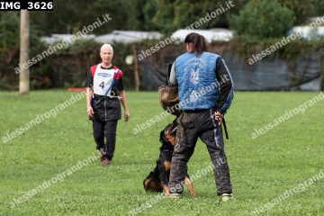IMG_3626.jpg
