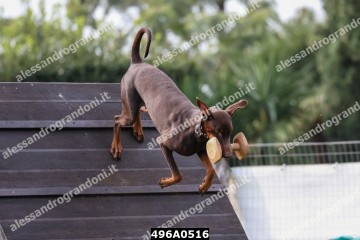 496A0516.jpg