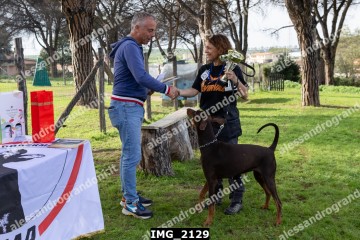 IMG_2129.jpg