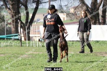 IMG_6445.jpg