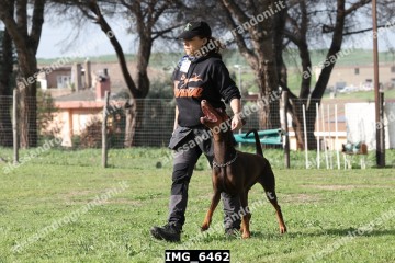 IMG_6462.jpg