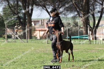 IMG_6472.jpg