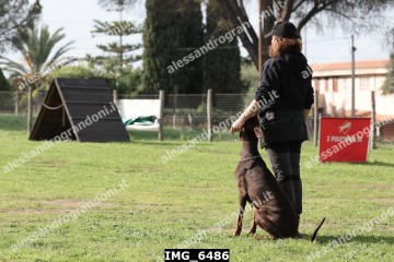 IMG_6486.jpg