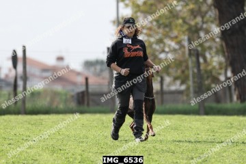 IMG_6536.jpg