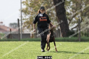 IMG_6543.jpg