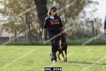 IMG_6558.jpg