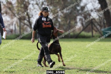 IMG_6598.jpg