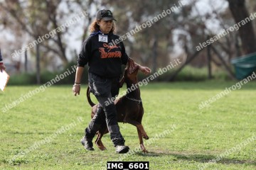 IMG_6601.jpg