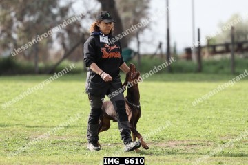 IMG_6610.jpg