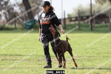 IMG_6616.jpg