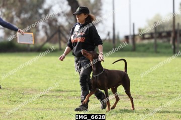 IMG_6628.jpg