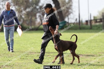 IMG_6632.jpg