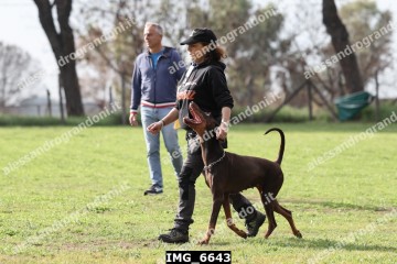 IMG_6643.jpg