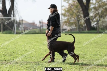 IMG_6669.jpg