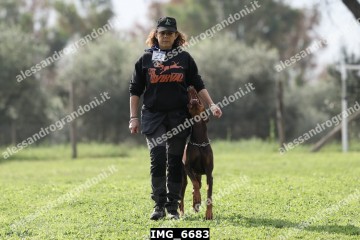 IMG_6683.jpg