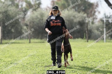 IMG_6700.jpg