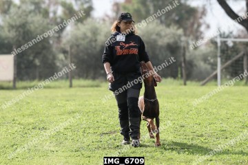 IMG_6709.jpg
